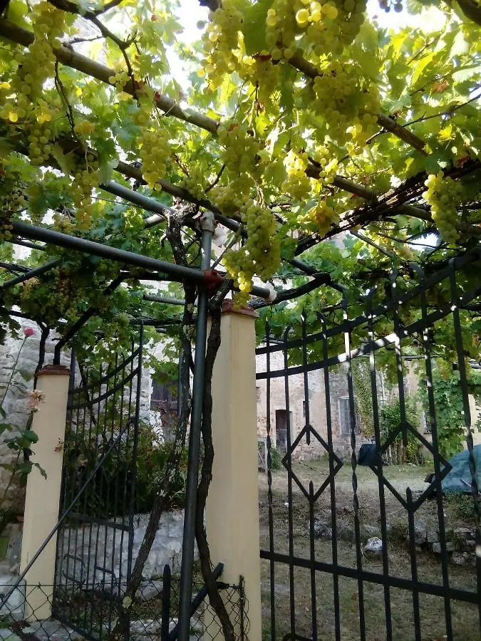 La Calona Apartment Camaiore