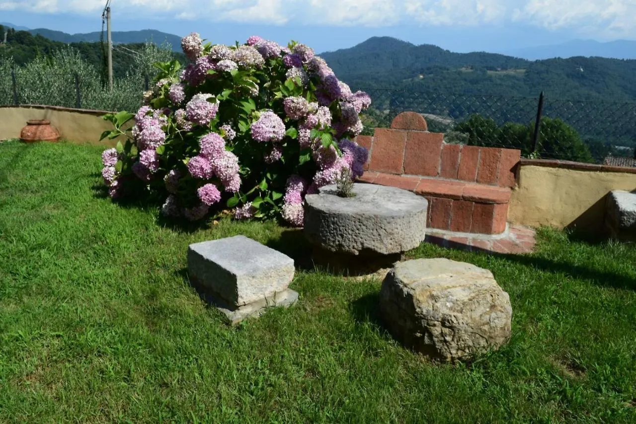 La Calona Daire Camaiore İtalya