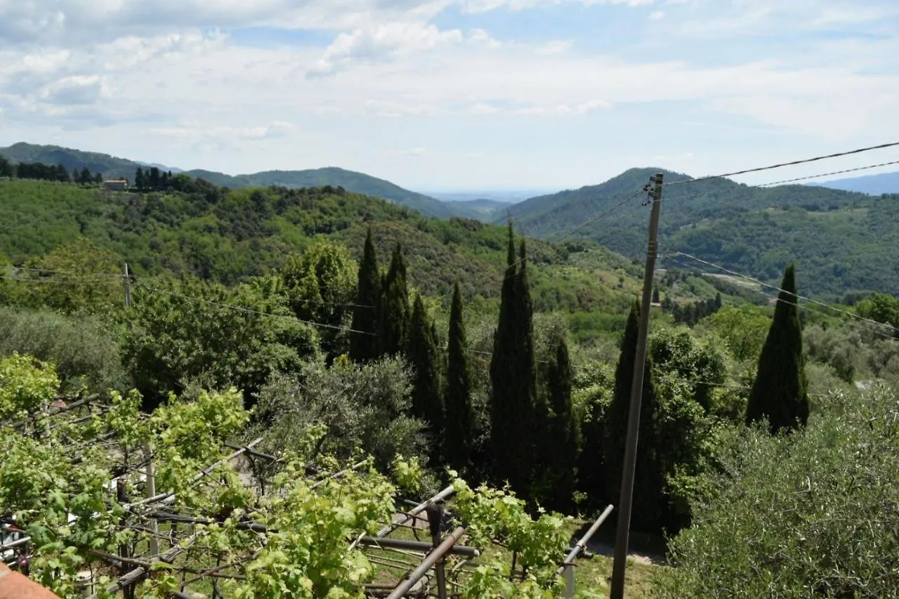 La Calona Daire Camaiore 0*,