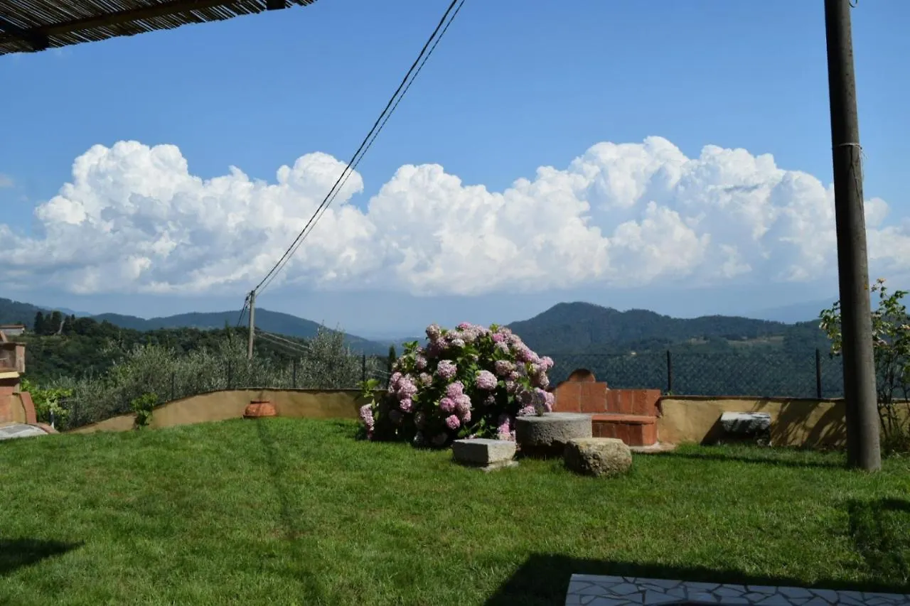 La Calona Daire Camaiore