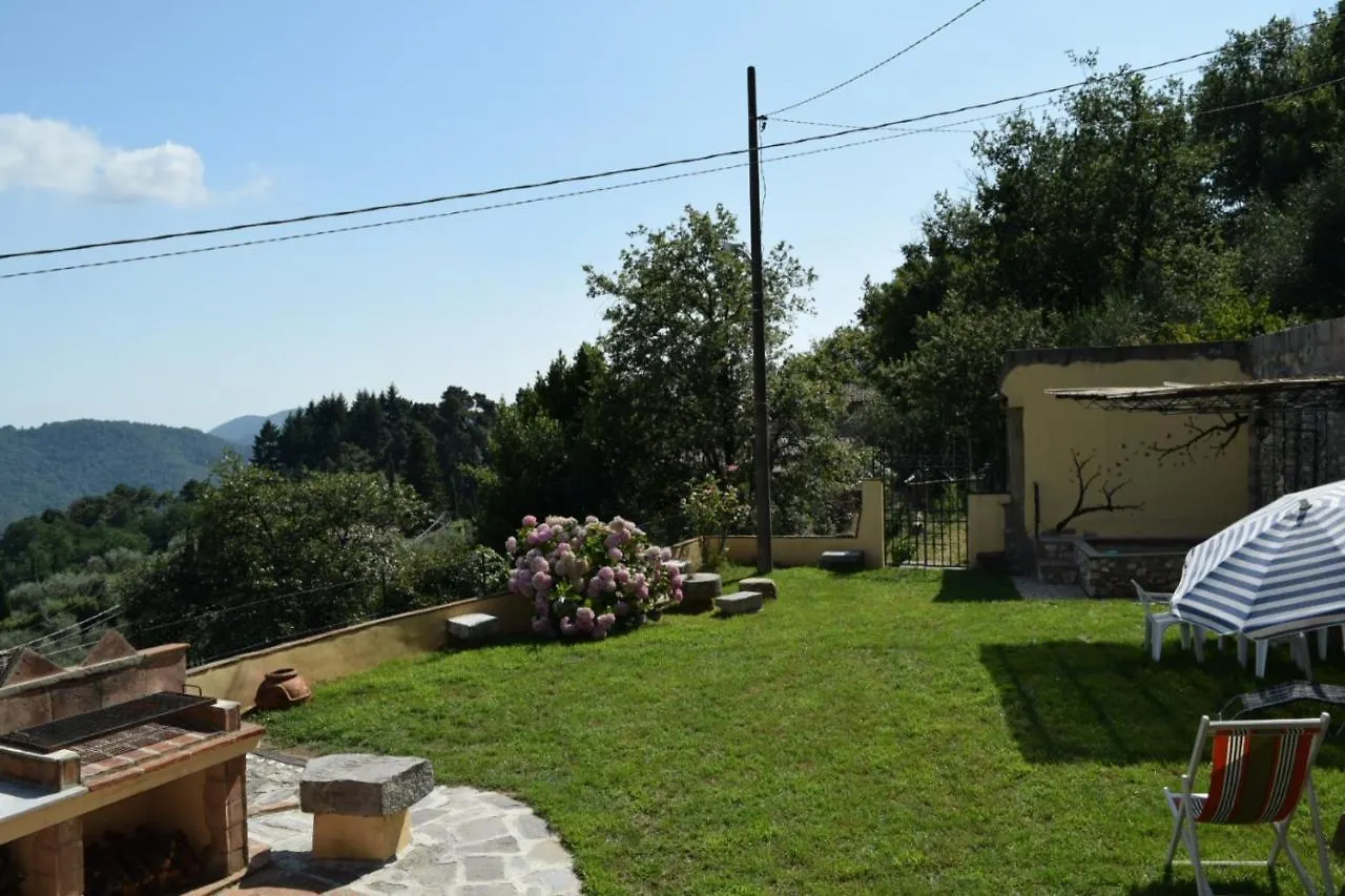 La Calona Daire Camaiore