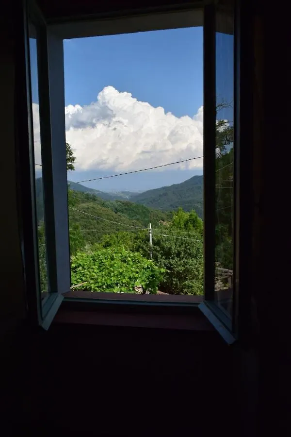 La Calona Apartment Camaiore