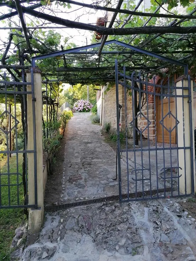 La Calona Apartment Camaiore