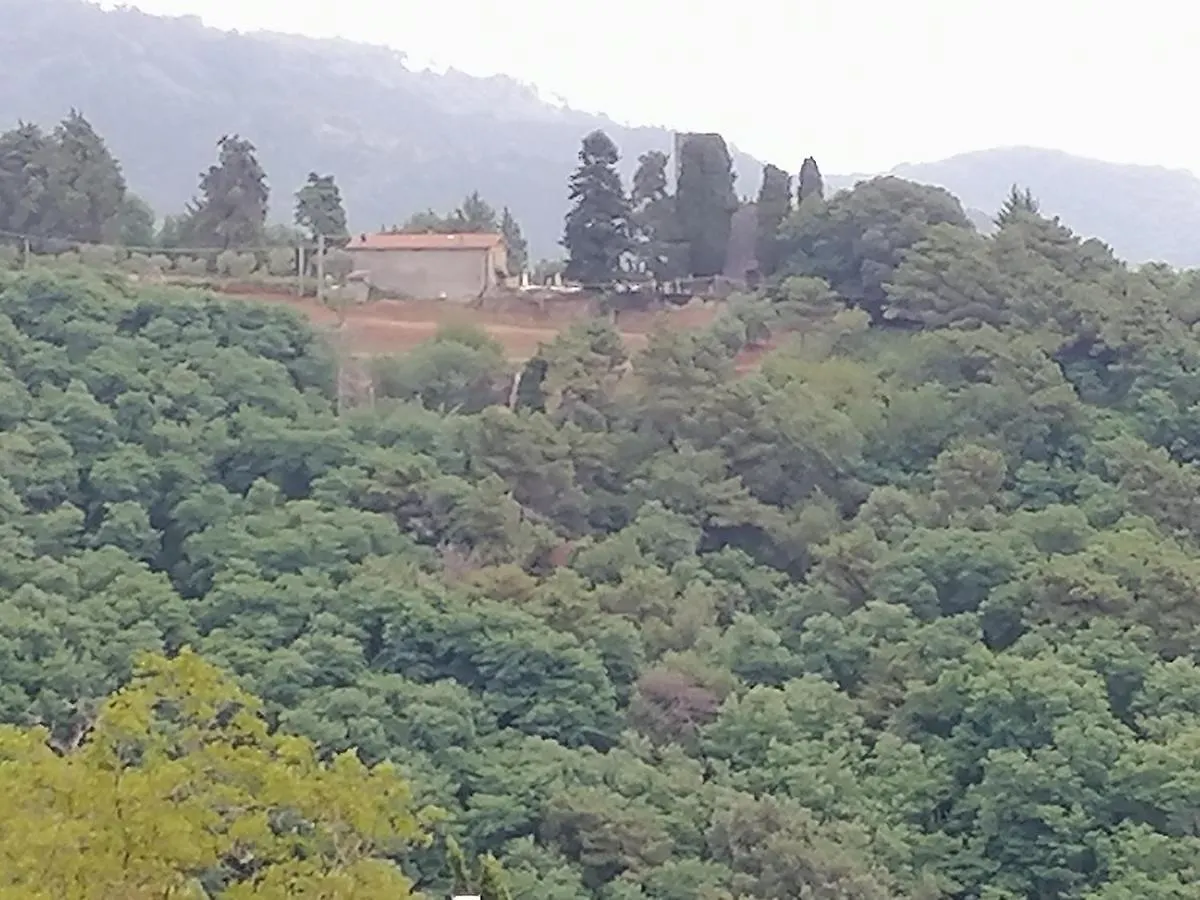 La Calona Daire Camaiore İtalya