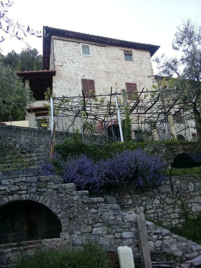 La Calona Daire Camaiore İtalya